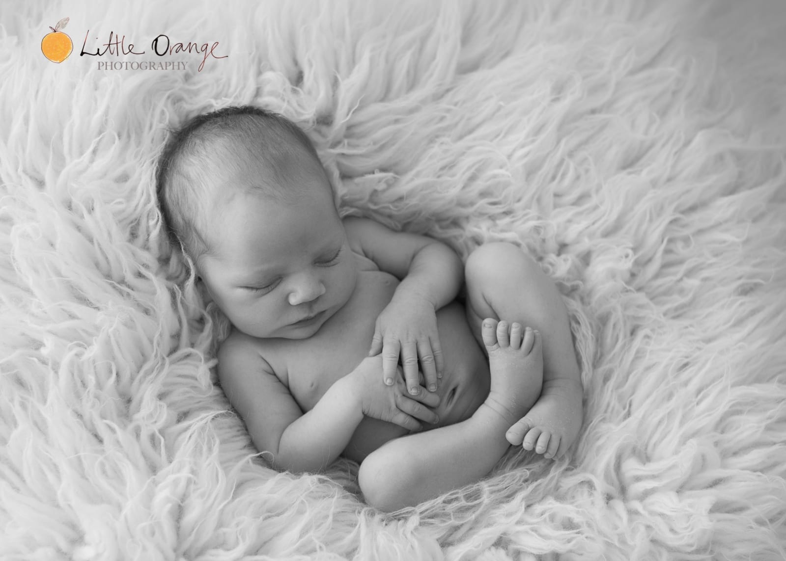 NEWBORN PHOTOGRAPHY-3