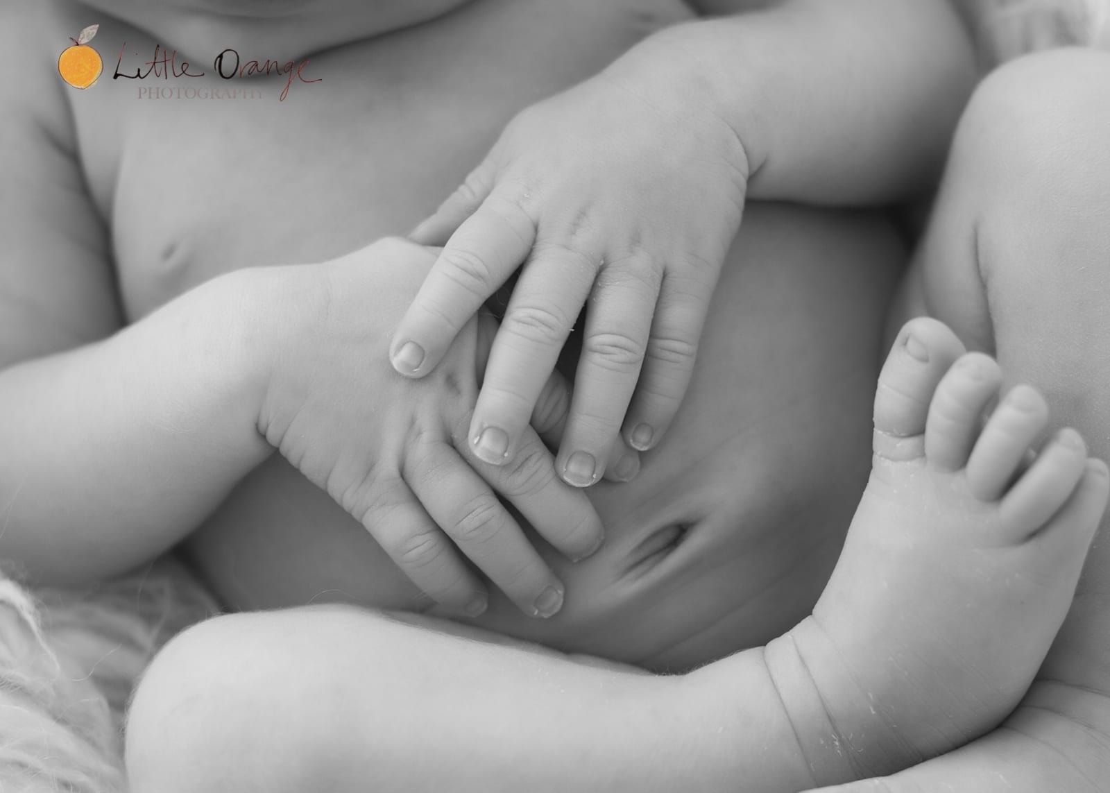 Newborn Photography Gold Coast